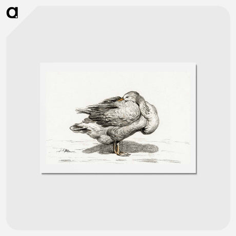 アートポストカード-Goose - ジャン ベルナール Postcard.