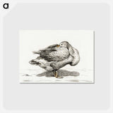 アートポストカード-Goose - ジャン ベルナール Postcard.