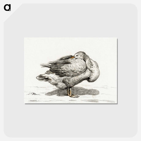 アートポストカード-Goose - ジャン ベルナール Postcard.