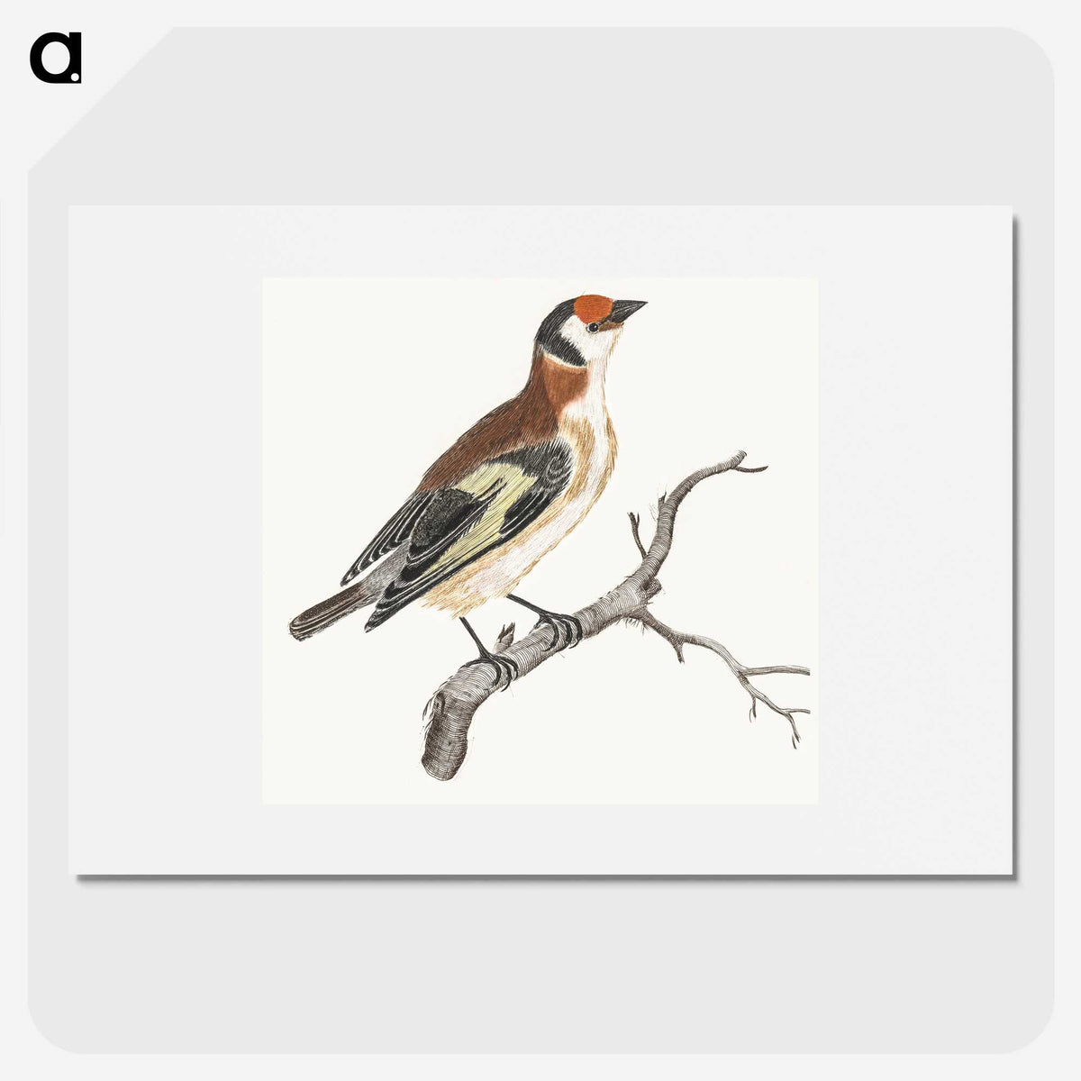 2-84_Johan-Teyler_picture
