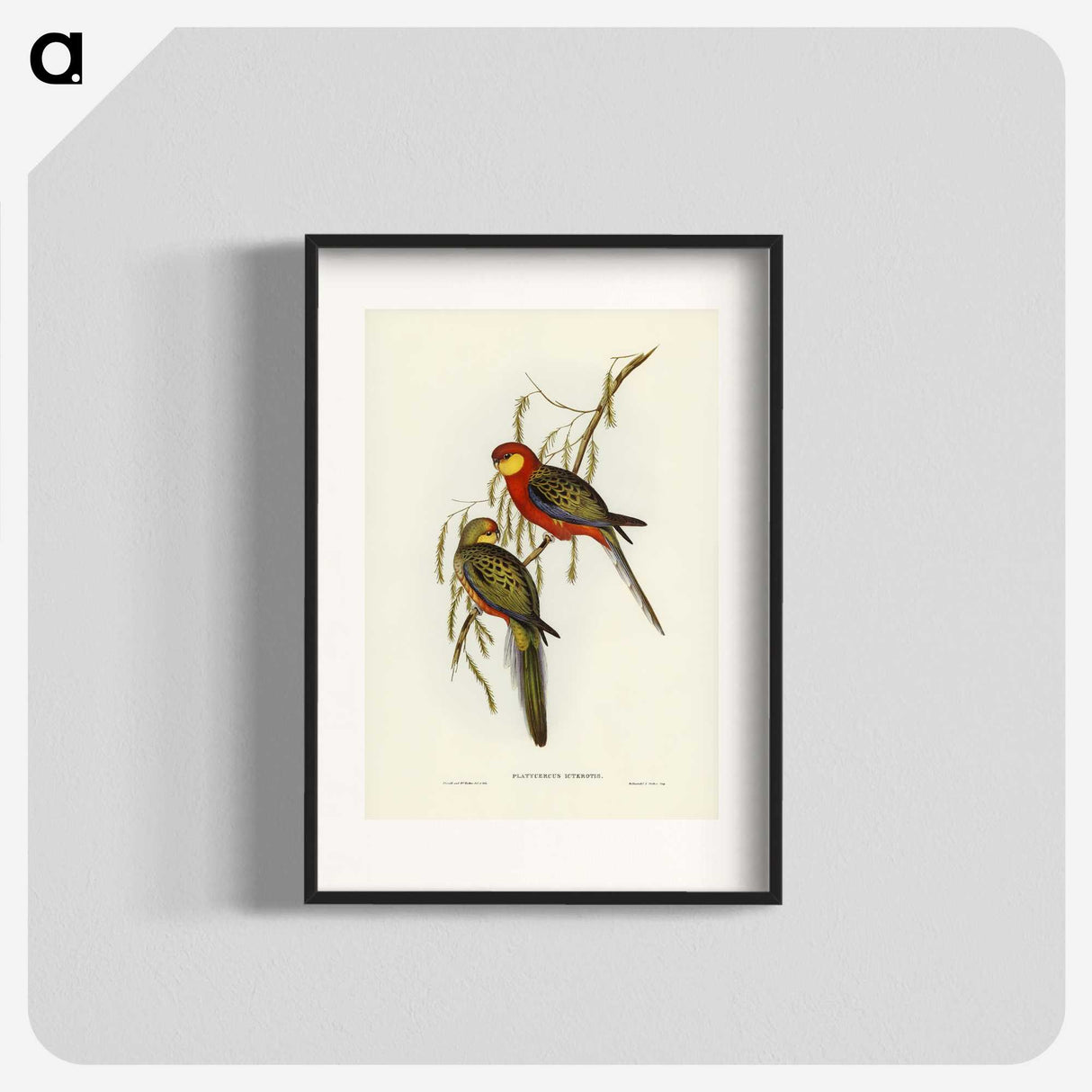 2-84_John-Gould_blk
