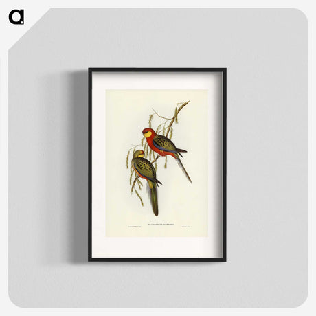 2-84_John-Gould_blk