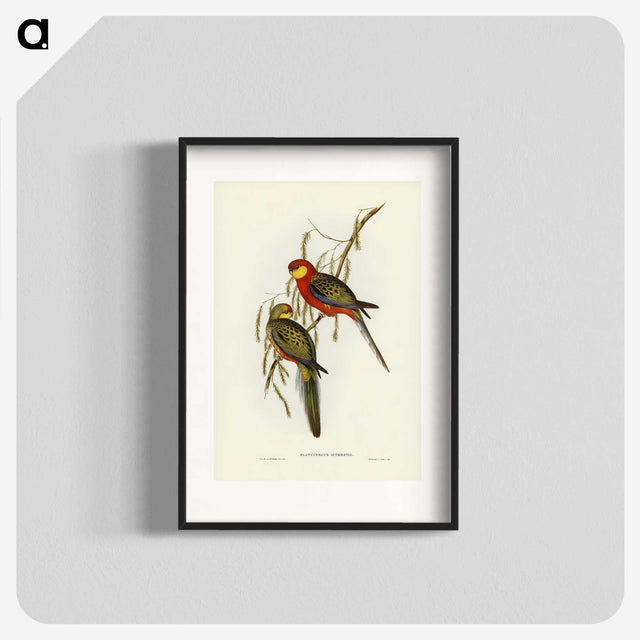 2-84_John-Gould_blk