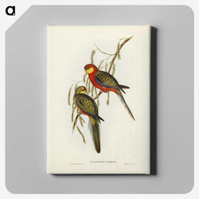 2-84_John-Gould_canvas