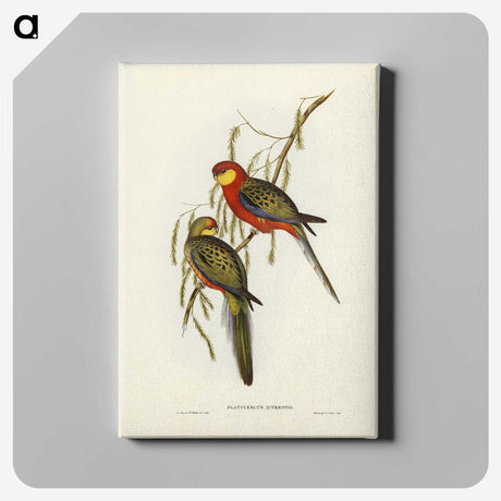 2-84_John-Gould_canvas