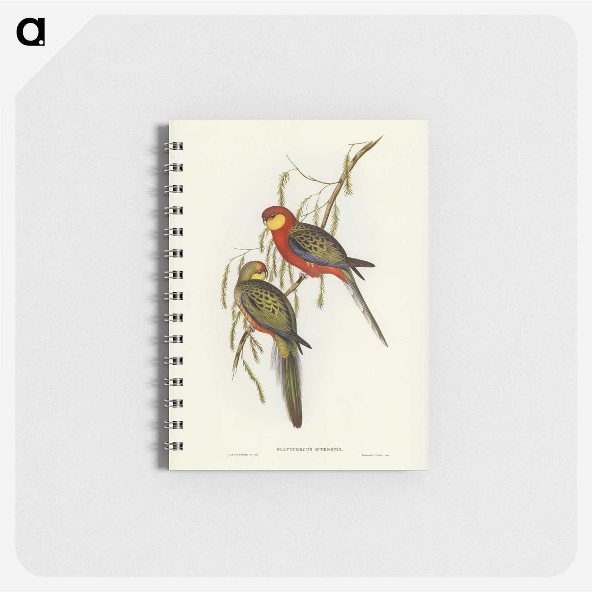 2-84_John-Gould_memo