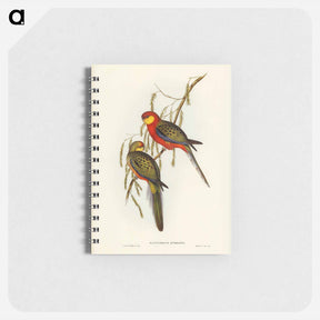 アートメモ帳-Earl of Derby's Parrakeet
 - ジョン グールド Memo.