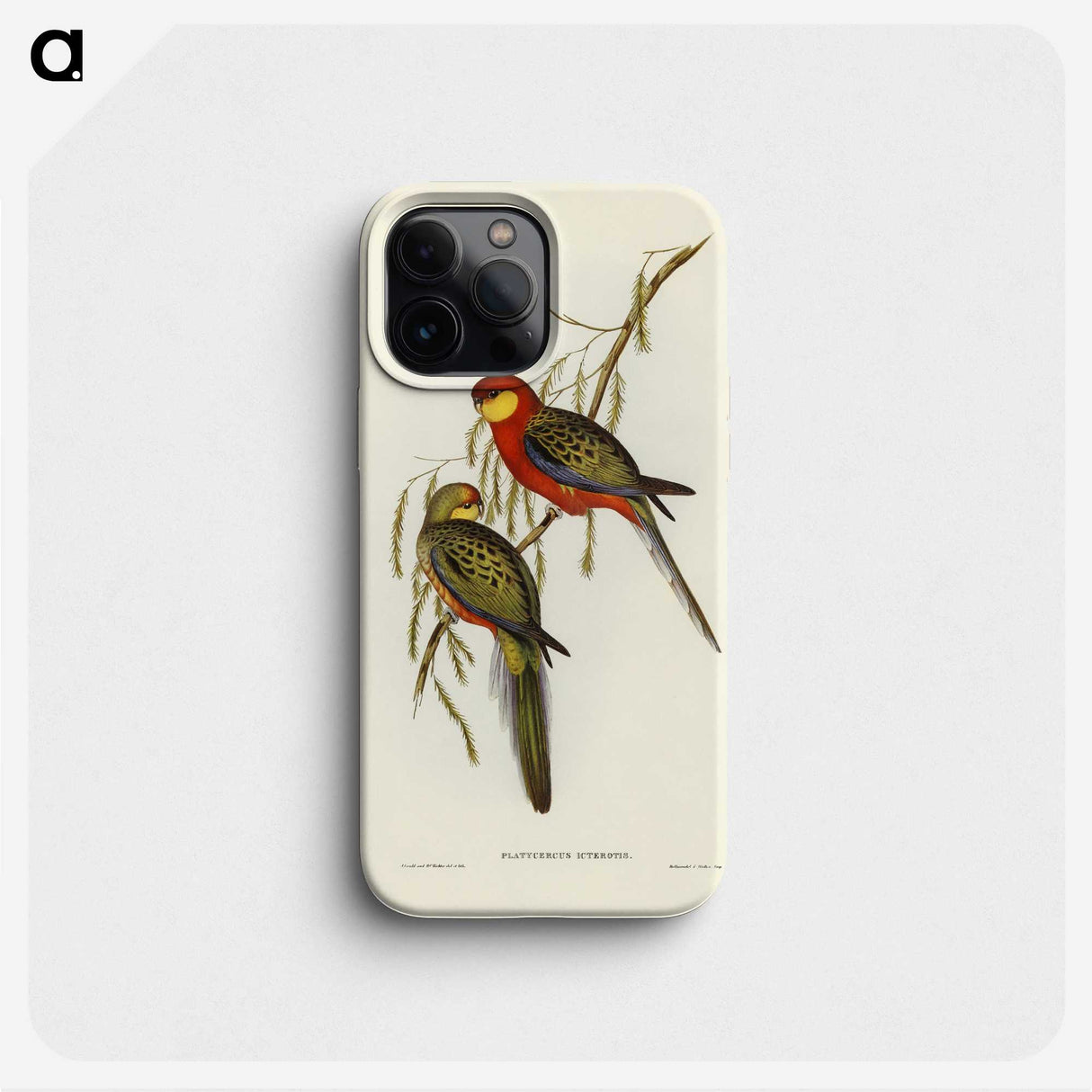 2-84_John-Gould_phone