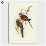 2-84_John-Gould_picture-crop
