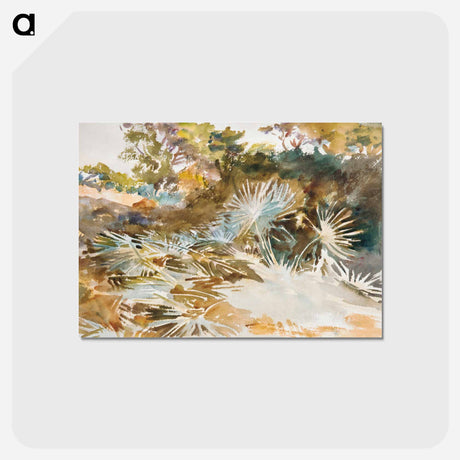 アートポストカード-Landscape with Palmettos - ジョン シンガー サージェント Postcard.