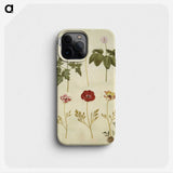 2-84_Maria-Sibylla-Merian_phone