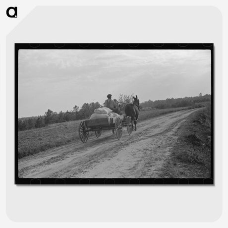 2-84_Marion-Post-Wolcott_picture-crop