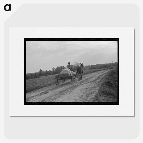 2-84_Marion-Post-Wolcott_picture