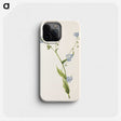 2-84_Mary-Vaux-Walcott_phone