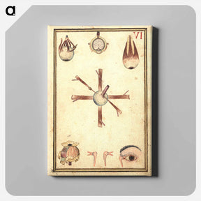 アートパネル-Human Eye, Anatomy and Histology
 - 国立医学図書館 Canvas.