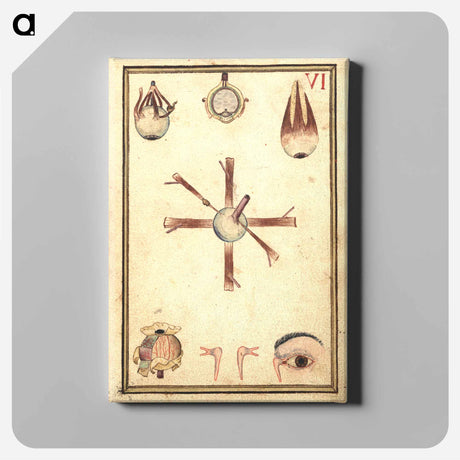 アートパネル-Human Eye, Anatomy and Histology
 - 国立医学図書館 Canvas.