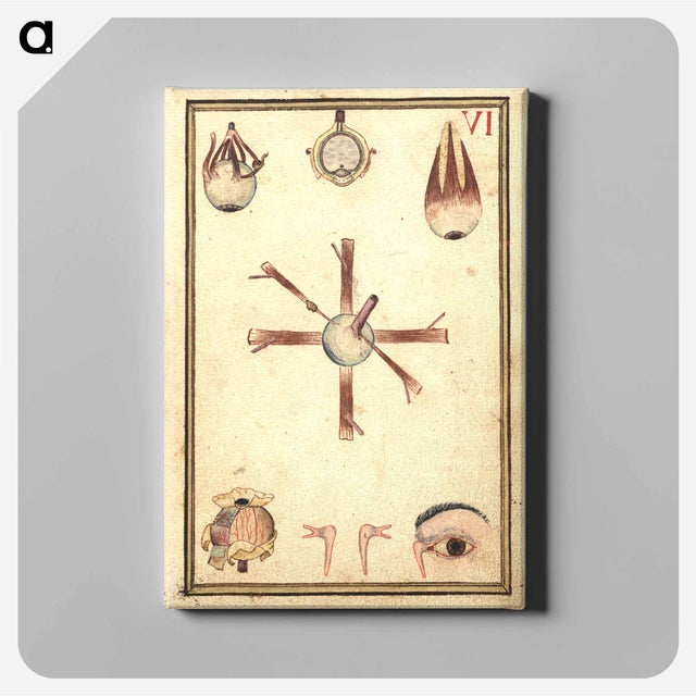 アートパネル-Human Eye, Anatomy and Histology
 - 国立医学図書館 Canvas.