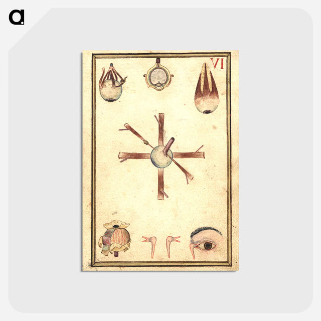 アートポストカード-Human Eye, Anatomy and Histology
 - 国立医学図書館 Postcard.