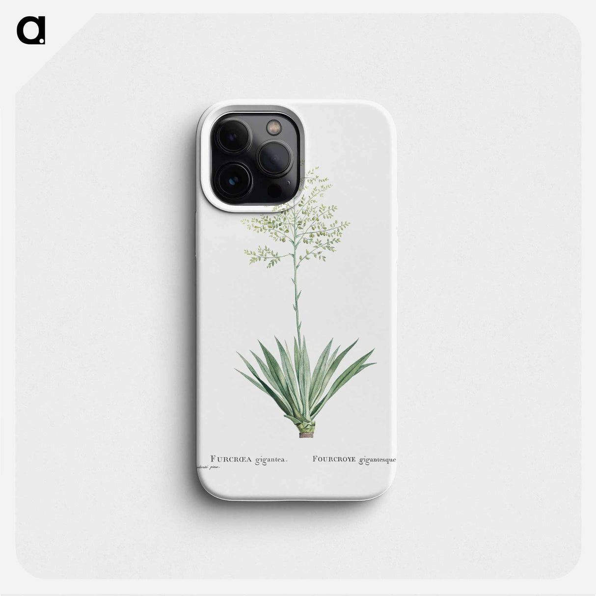 Furcraea Gigantea (Mauritius Hemp) - Pierre Joseph Redouté Phone Case.