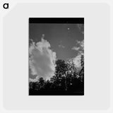 アートポストカード-Shasta County Trees and Clouds
 - ラッセル リー Postcard.