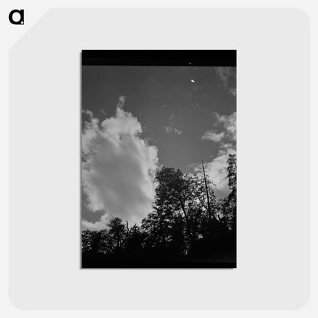 アートポストカード-Shasta County Trees and Clouds
 - ラッセル リー Postcard.