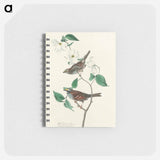 アートメモ帳-White throated Sparrow from Birds of America
 - アメリカの鳥たち Memo.