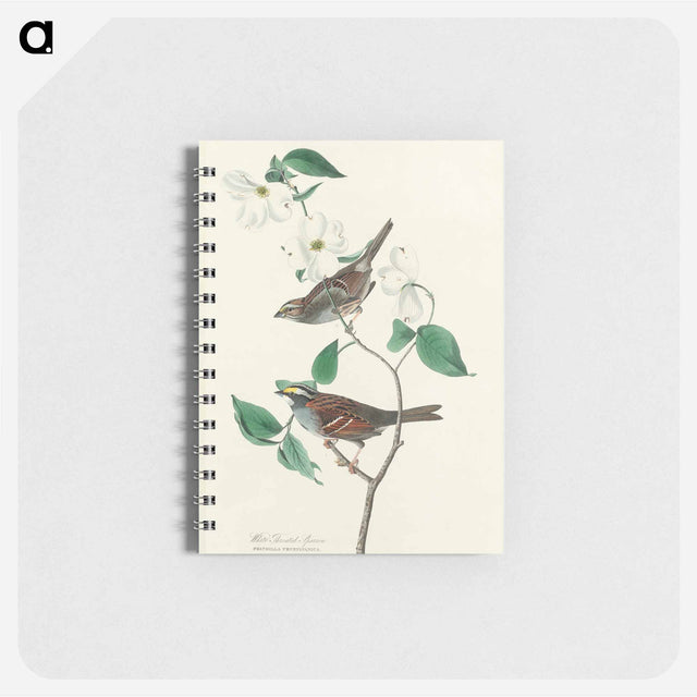 アートメモ帳-White throated Sparrow from Birds of America
 - アメリカの鳥たち Memo.
