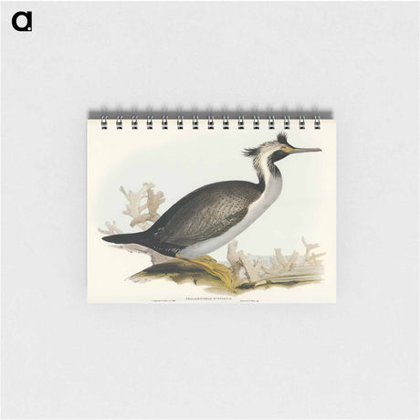 アートメモ帳-Spotted Cormorant
 - オーストラリアの鳥 Memo.