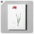 2-84_The-Lilies_canvas