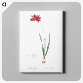 2-84_The-Lilies_canvas