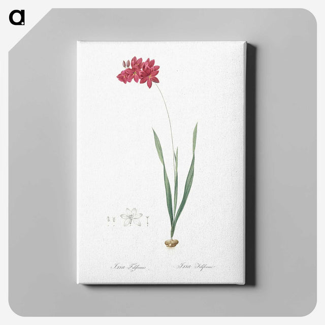 2-84_The-Lilies_canvas