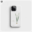 2-84_The-Lilies_phone