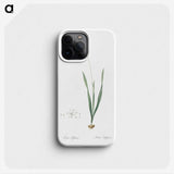 2-84_The-Lilies_phone