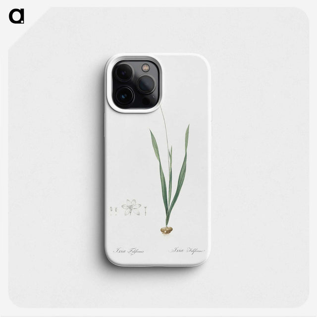 2-84_The-Lilies_phone