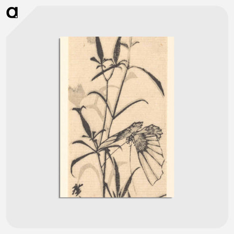 アートポストカード-Butterfly and Pink
 - 歌川 広重 Postcard.