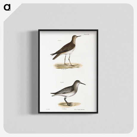 2-84_Zoology-of-New-York_blk-crop