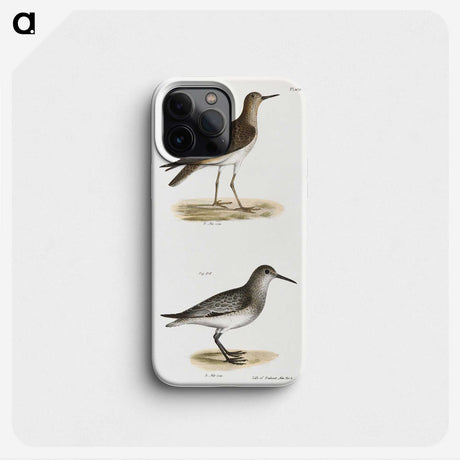 2-84_Zoology-of-New-York_phone