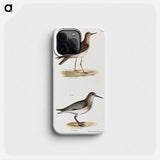 He Ruff (Tringa pugnax) 218. Red-breasted Sandpiper (Tringa canutus) illustration from Zoology of New York by - ニューヨークの動物学 Phone Case.