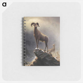 アートメモ帳-Rocky Mountain Sheep - アルバート ビアスタット Memo.