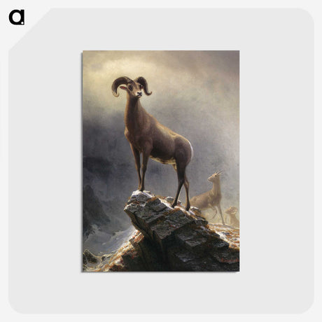 2-85_Albert-Bierstadt_postcard