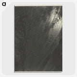 2-85_Alfred-Stieglitz_picture-crop