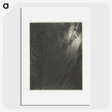 2-85_Alfred-Stieglitz_picture