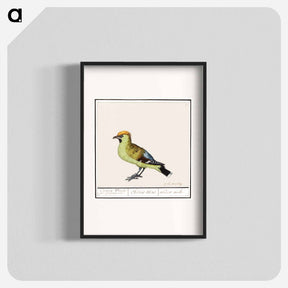 アートポスター-Bohemian Waxwing - アンセルムス ボエティウス デ ブート Poster.