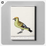 2-85_Anselmus-Boetius-de-Boodt_canvas