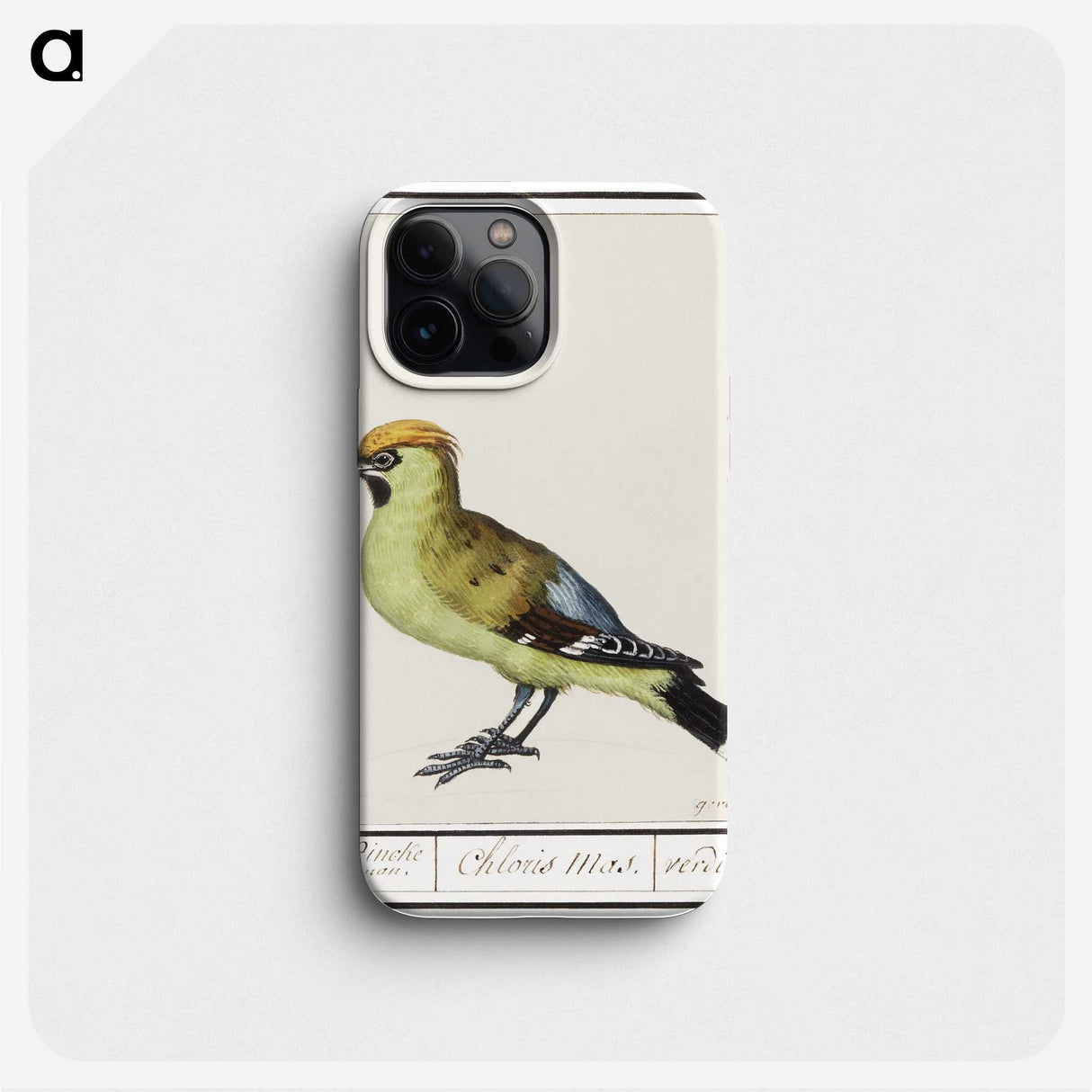 2-85_Anselmus-Boetius-de-Boodt_phone