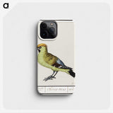 2-85_Anselmus-Boetius-de-Boodt_phone