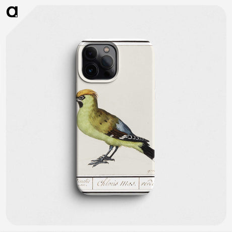 2-85_Anselmus-Boetius-de-Boodt_phone