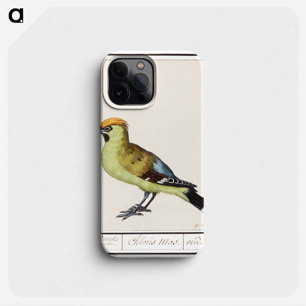 Bohemian Waxwing - アンセルムス ボエティウス デ ブート Phone Case.