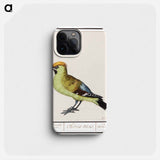 Bohemian Waxwing - アンセルムス ボエティウス デ ブート Phone Case.