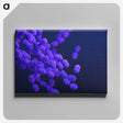 2-85_COVID-19_canvas
